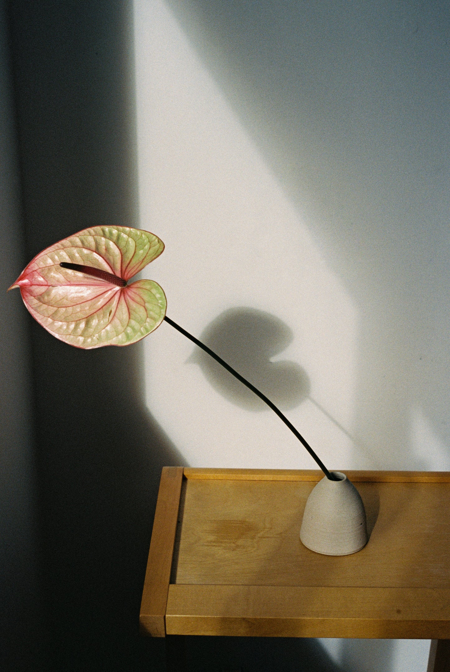 #001. Small Vase (Type 02)